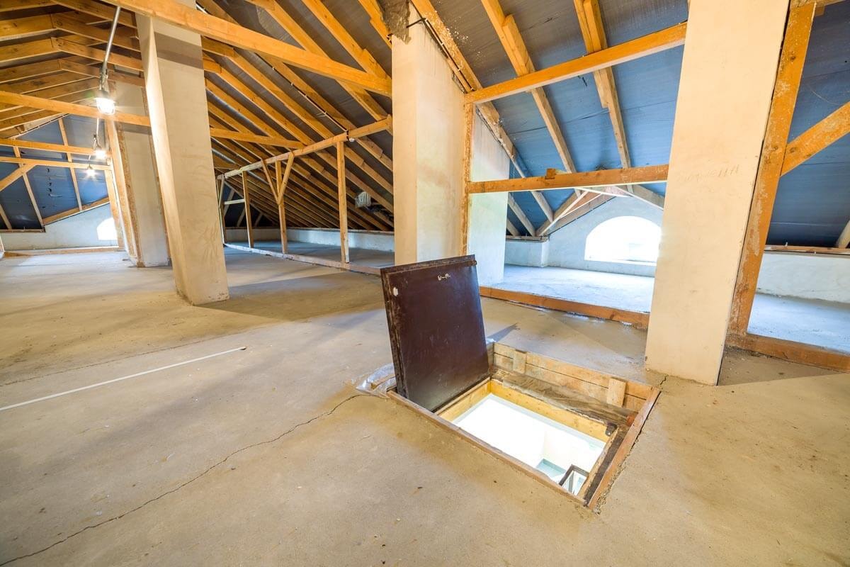 Unconverted attic with a timber roof truss construction and a hatch ladder leading down.